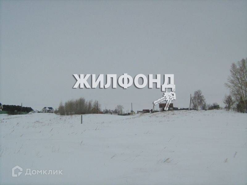 земля р-н Новосибирский снт Надежда фото 3