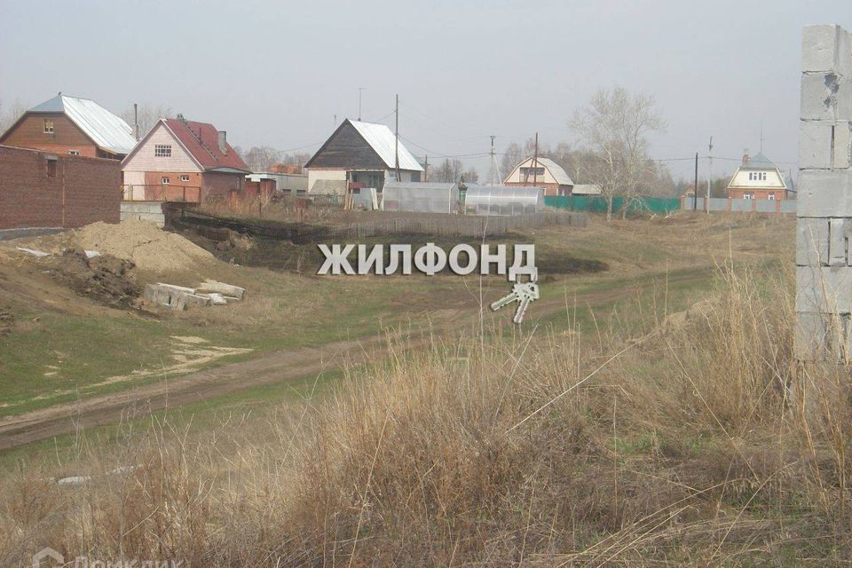 земля р-н Новосибирский снт Надежда фото 6