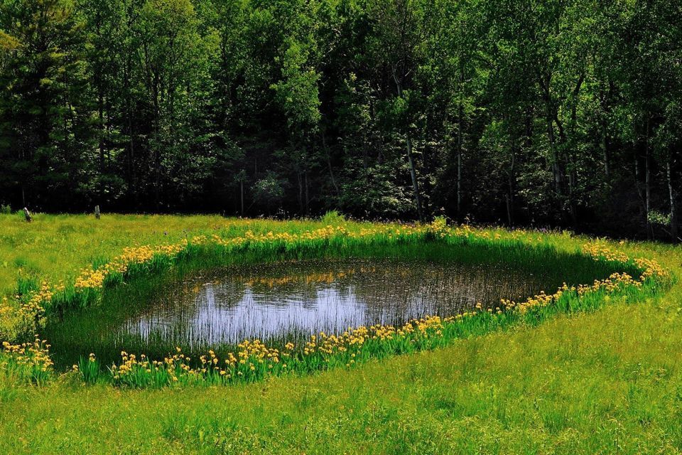 земля г Екатеринбург п Березит р-н Орджоникидзевский фото 2