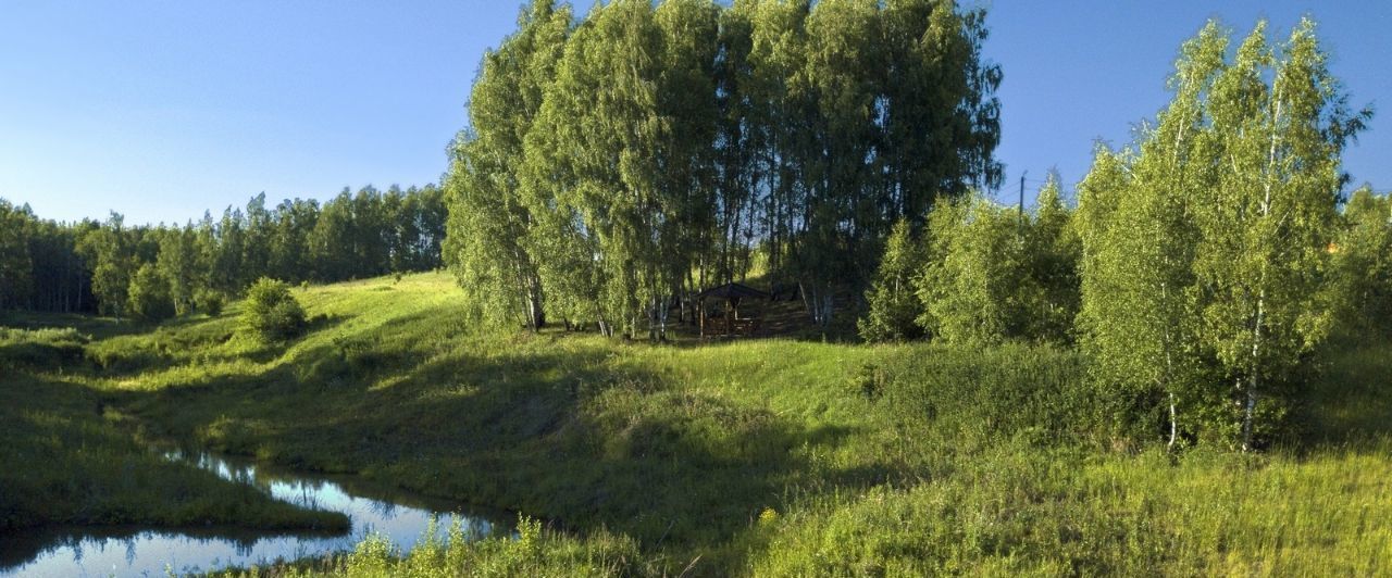 земля р-н Ясногорский с Кузьмищево днп тер.Алино Иваньковское муниципальное образование фото 5