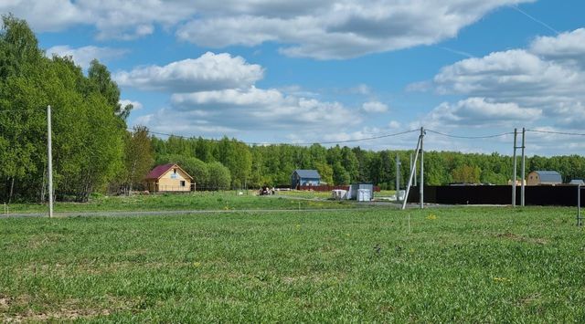 городской округ Домодедово д Шишкино Растуновский административный округ фото