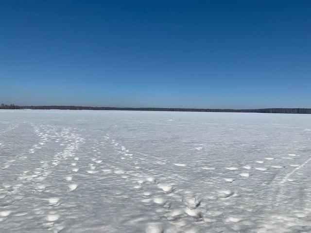 городской округ Домодедово фото