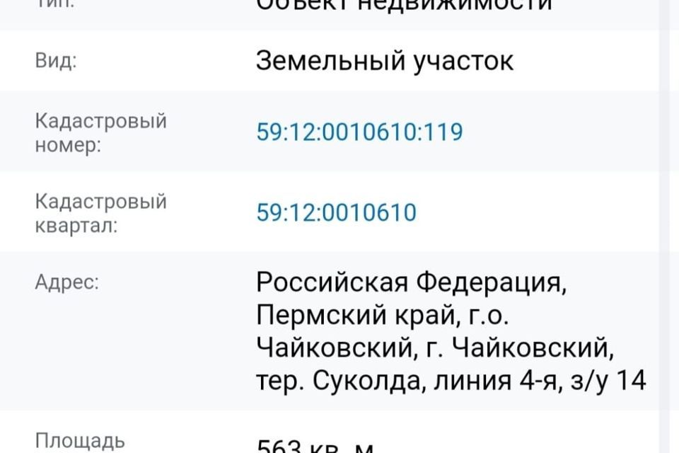 земля г Чайковский Заринский район линия Суколда 1-я 24 ул Суколда 8-я Линия фото 3