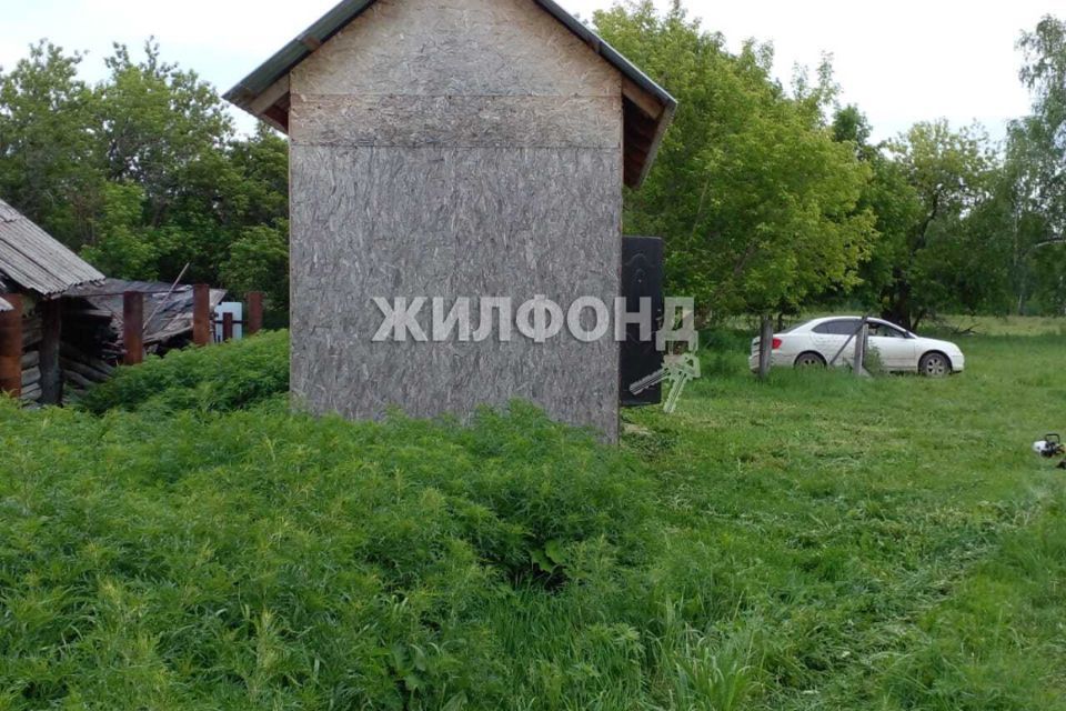 земля р-н Ордынский с Чингис ул Кустарная 42 фото 7