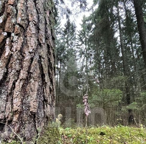 городской округ Одинцовский д Жуковка ул Березовая фото