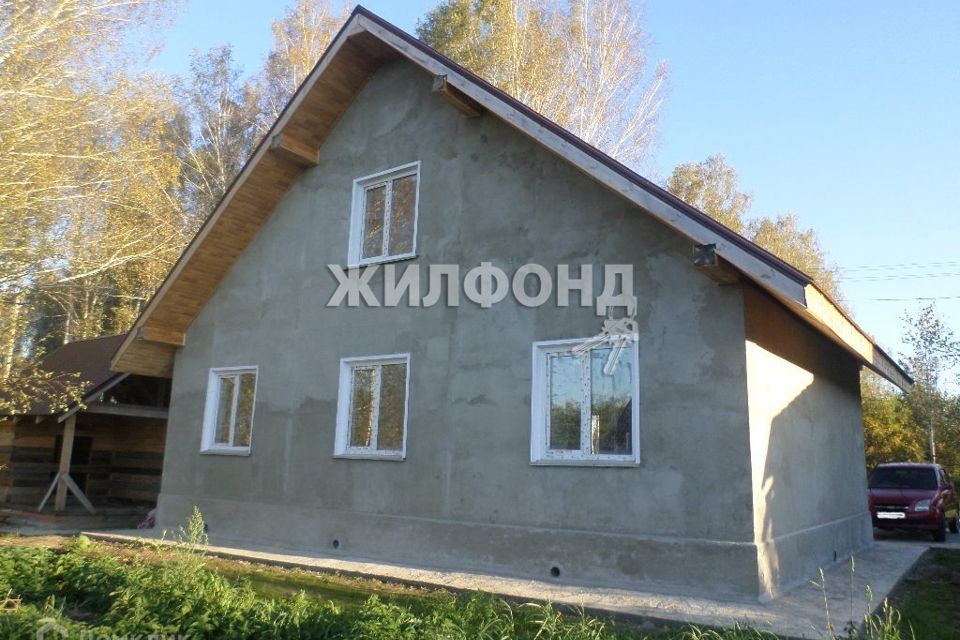 дом р-н Новосибирский фото 1