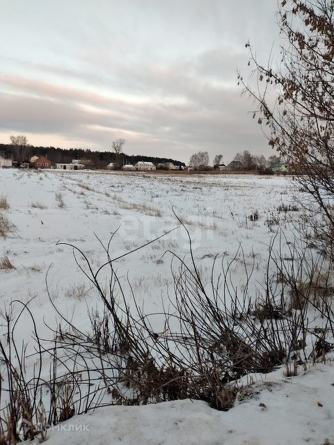 земля р-н Добровский с Кореневщино ул Вольяшево фото 9