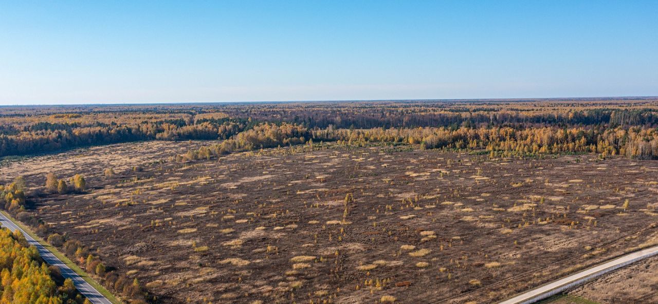 земля городской округ Богородский д Починки ул Советская 20 фото 3