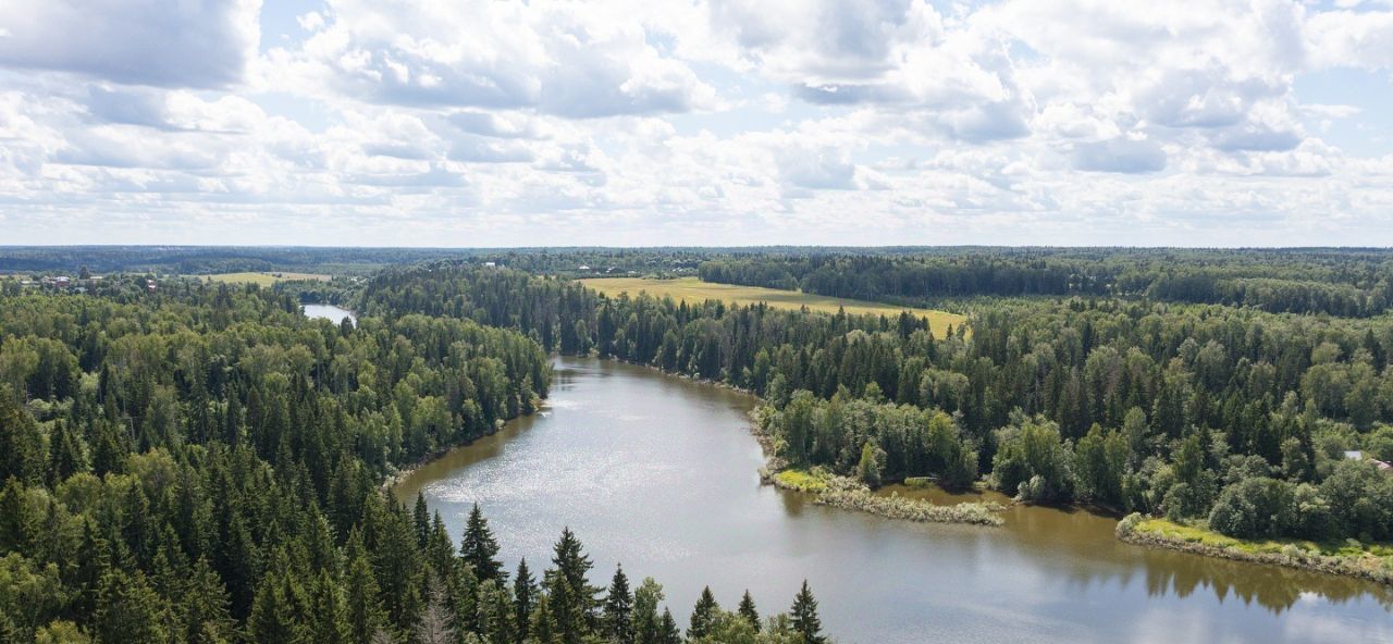 земля городской округ Шатура д Петряиха фото 5