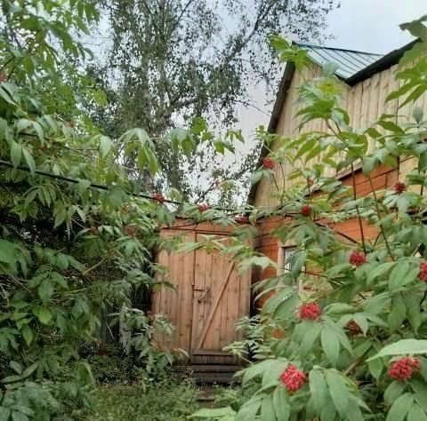 дом п Жатай снт СОНТ "Урожай" ул Луговая фото 18