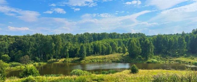 городской округ Ступино с Старая Ситня фото