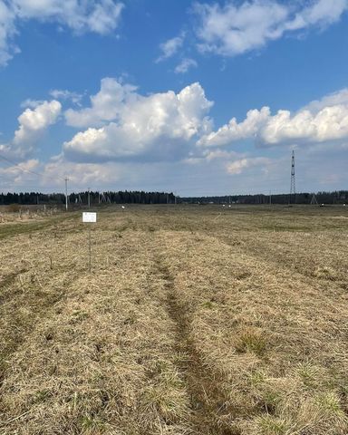 городской округ Истра д Еремеево г. о. Истра, Снегири фото