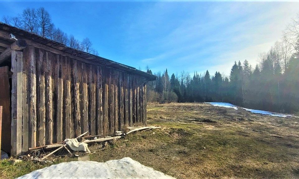 дом г Чайковский д Жигалки ул Лесная фото 6