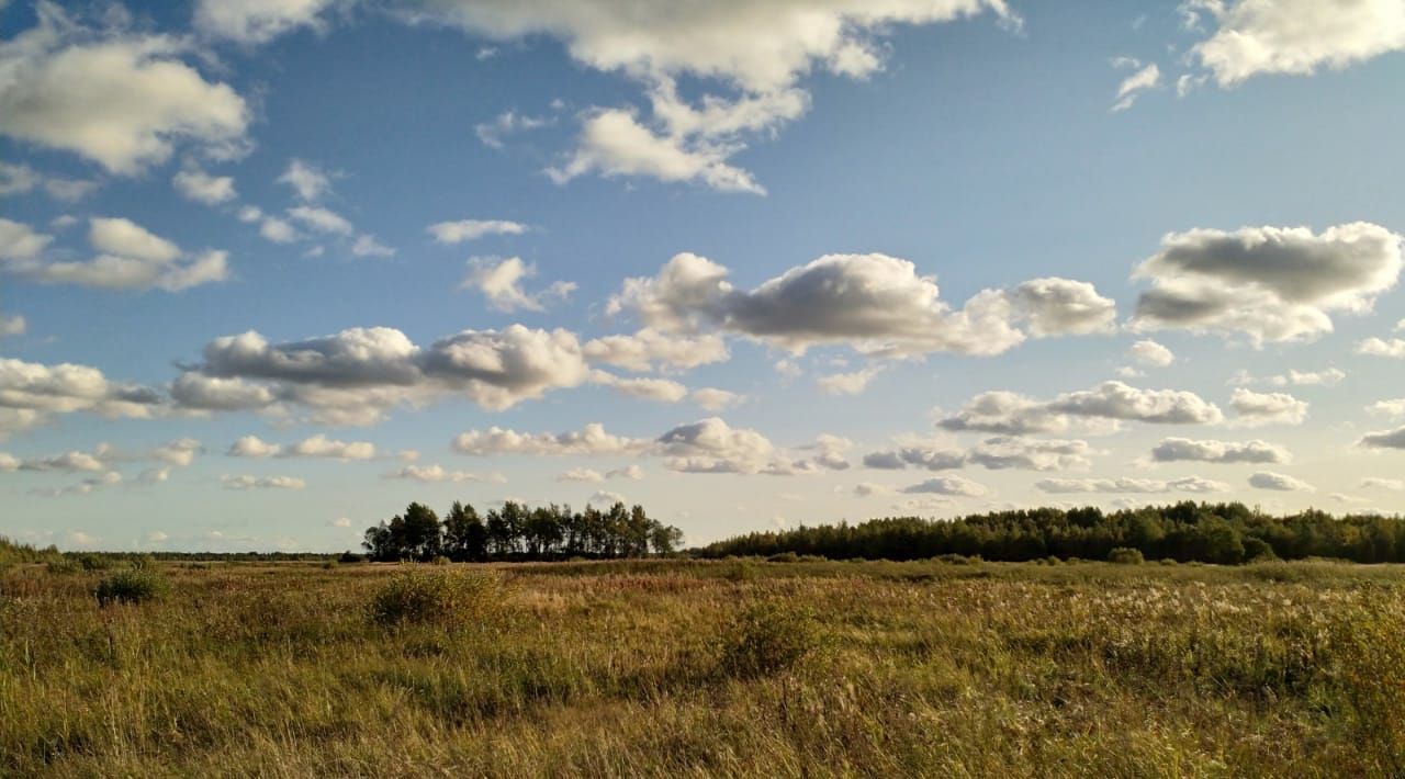 офис р-н Новгородский с/п Ермолинское фото 1