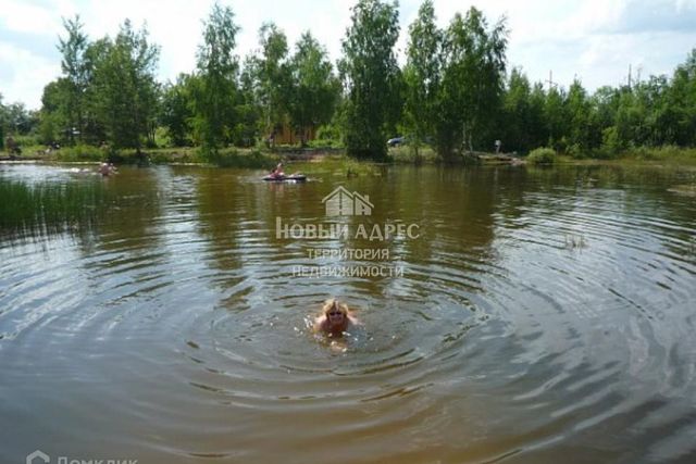 снт Чайка фото