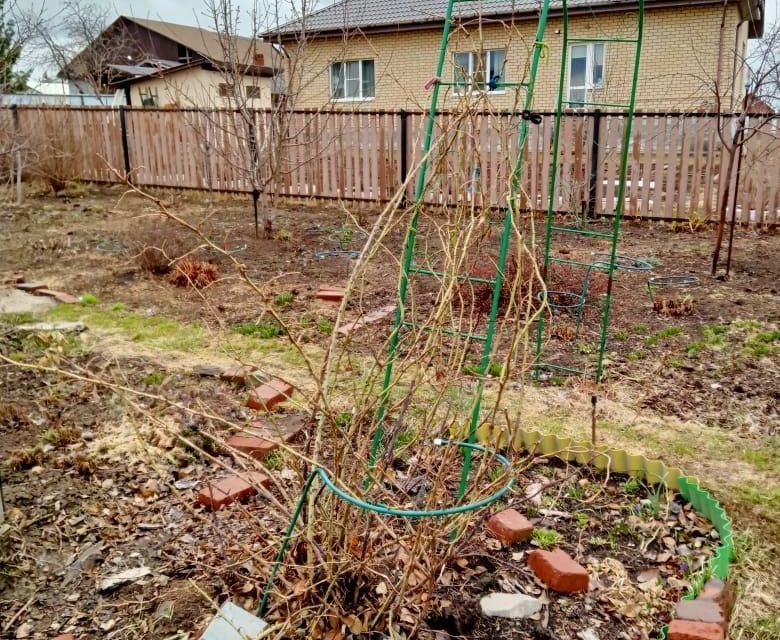 земля р-н Сысертский п Октябрьский ул Чапаева фото 3