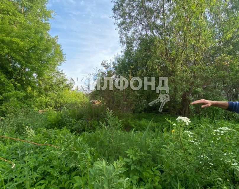 земля г Новосибирск р-н Дзержинский Берёзовая роща фото 6