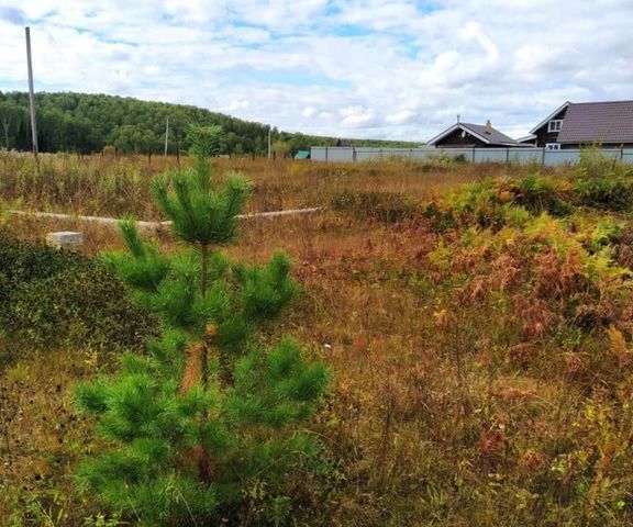 с Нагаево ул Рощинская 8 р-н Октябрьский фото