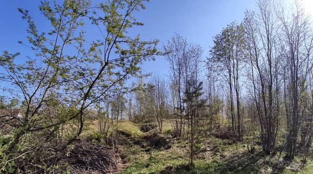 р-н Кировский массив Славянка снт Радуга Мгинское городское поселение, 4-я линия, 138, Славянка садовое товарищество фото