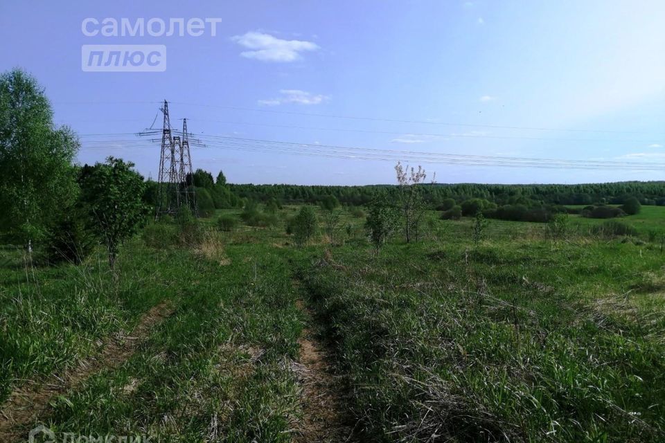 земля р-н Переславский с Веска ул Кривоколенная фото 6
