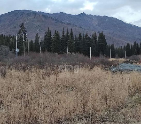 земля р-н Шебалинский с Дъектиек ул Центральная Онгудай фото