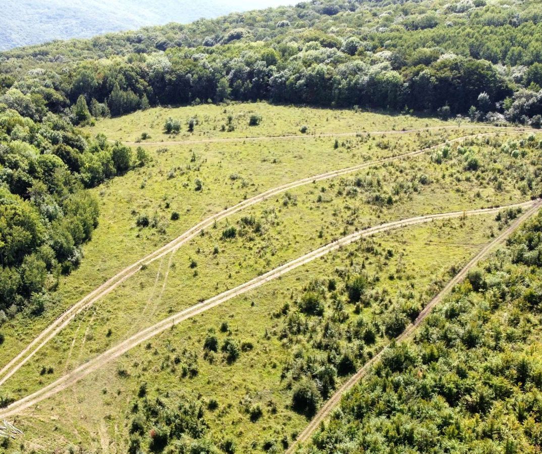 земля р-н Майкопский п Каменномостский Даховское сельское поселение фото 7