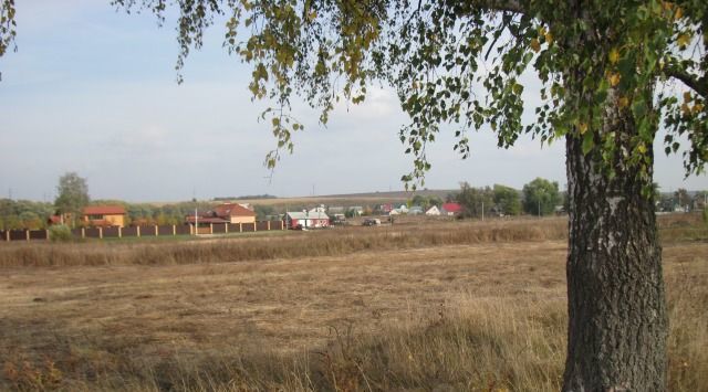 земля р-н Орловский д Медведево ул Цветочная фото 14