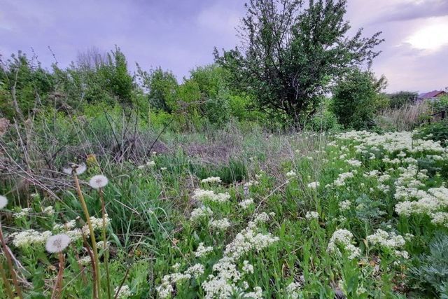 р-н Кировский ул Зерновая фото