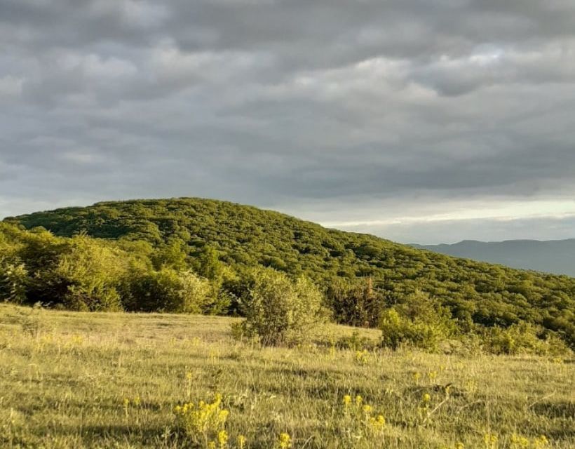 земля р-н Белогорский с Кизиловка ул Фонтанная фото 3