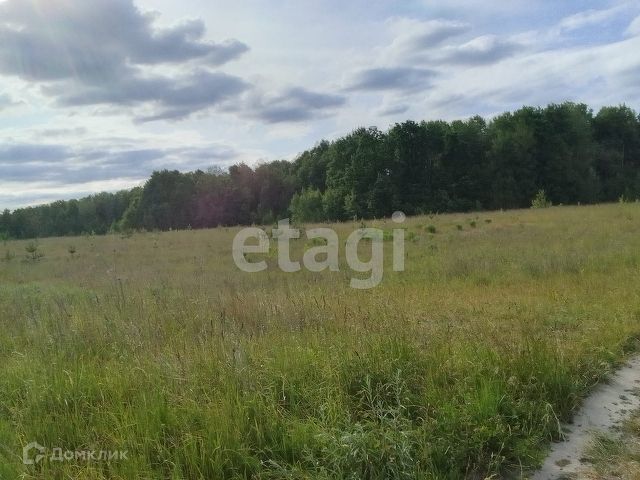 земля р-н Брянский д Дубровка ул Пограничная фото 3