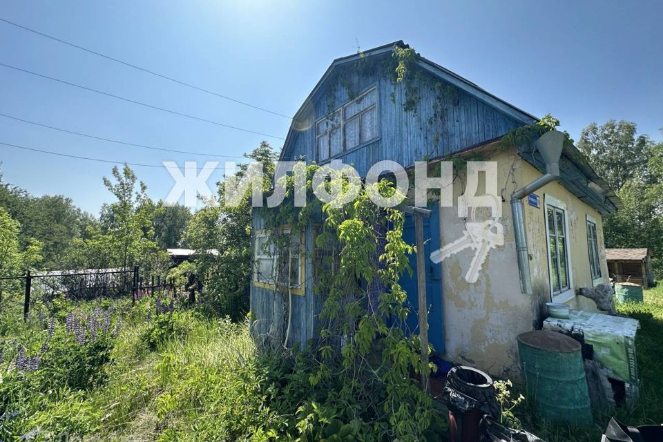 дом р-н Новосибирский фото 6