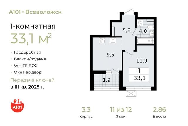 Южный ш Колтушское фото