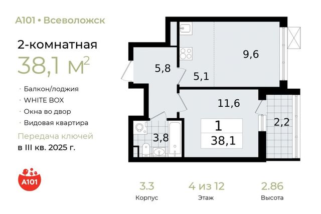 Южный ш Колтушское фото