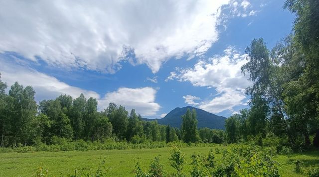 р-н Усть-Коксинский п Замульта фото