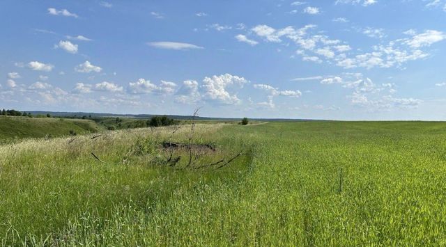 земля р-н Пензенский с Варыпаево Варыпаевский с/с фото