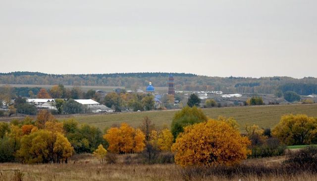 Товарковский фото