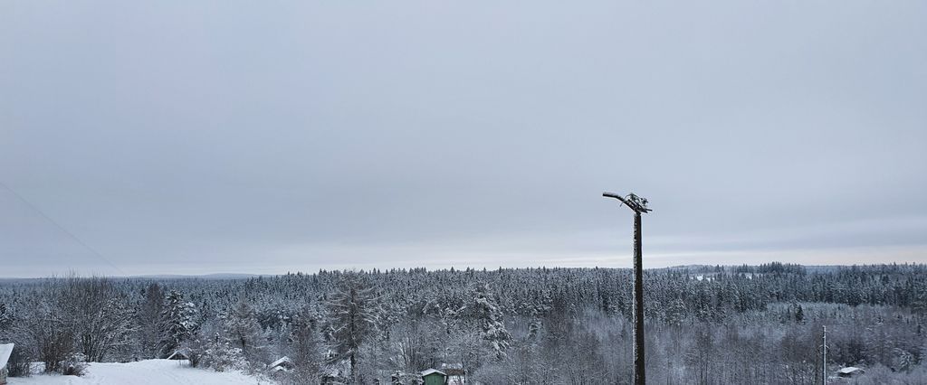 квартира г Сортавала п Кааламо ул Центральная 2 Сортавальский район фото 22