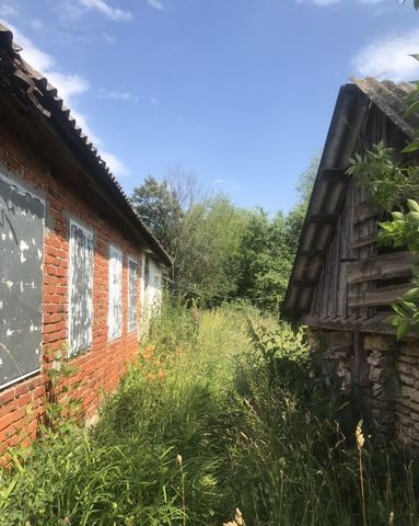 р-н Долгоруковский д Маховщина Грызловский сельсовет, Казаки фото