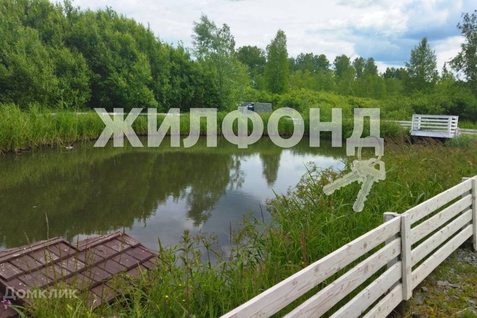 земля р-н Новосибирский с Плотниково фото 1