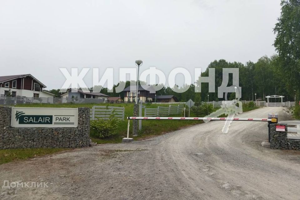 земля р-н Новосибирский с Плотниково фото 3