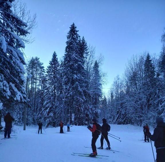 квартира г Петрозаводск ул Древлянка 24к/1 фото 4