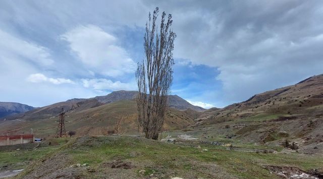 р-н Алагирский п Верхний Фиагдон фото