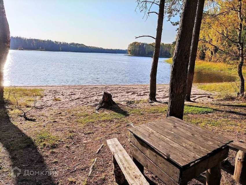 земля р-н Любытинский фото 1