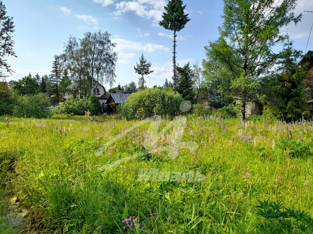 земля городской округ Можайский д Рассолово фото 8