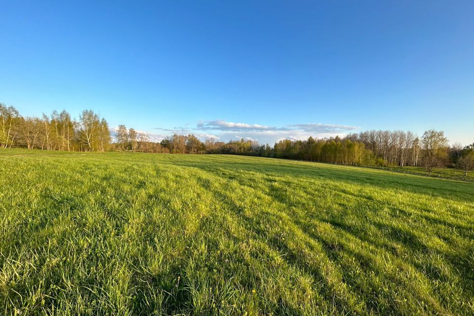 земля р-н Багратионовский фото 3