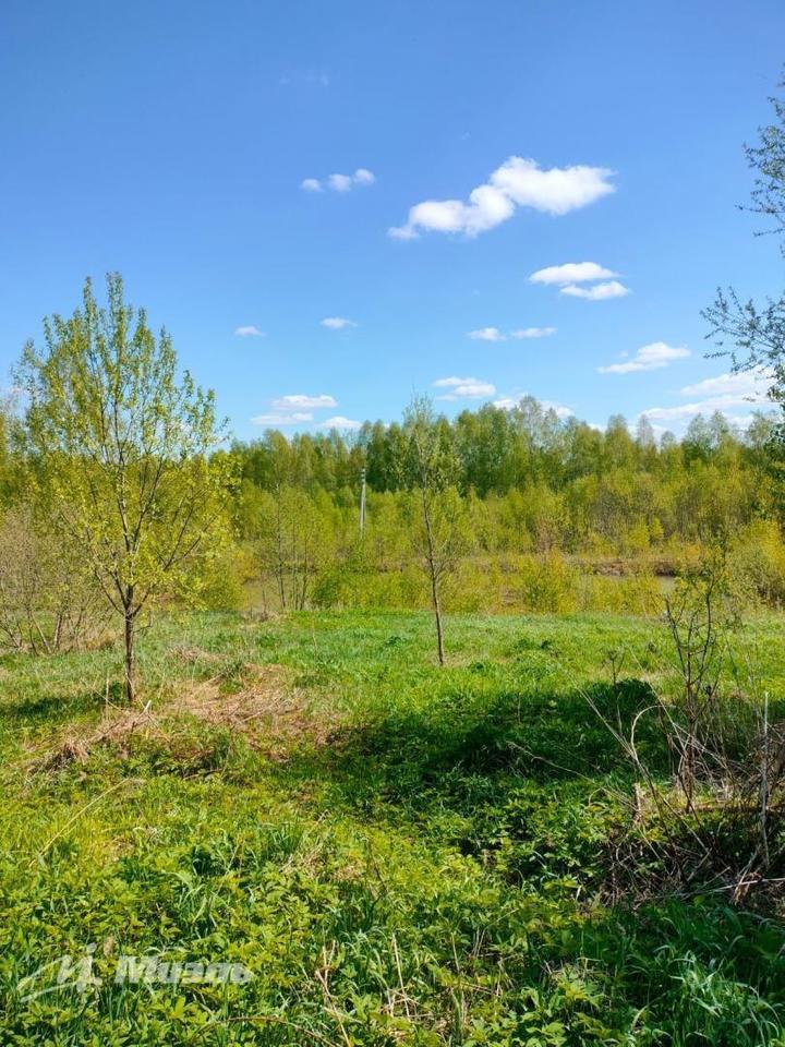 земля городской округ Волоколамский п Шитьково фото 1