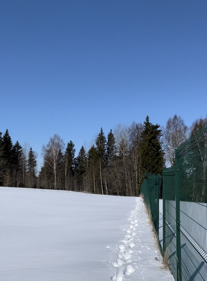 земля городской округ Шаховская д Воютино ул Сосновая 9843 км, Новорижское шоссе фото 9