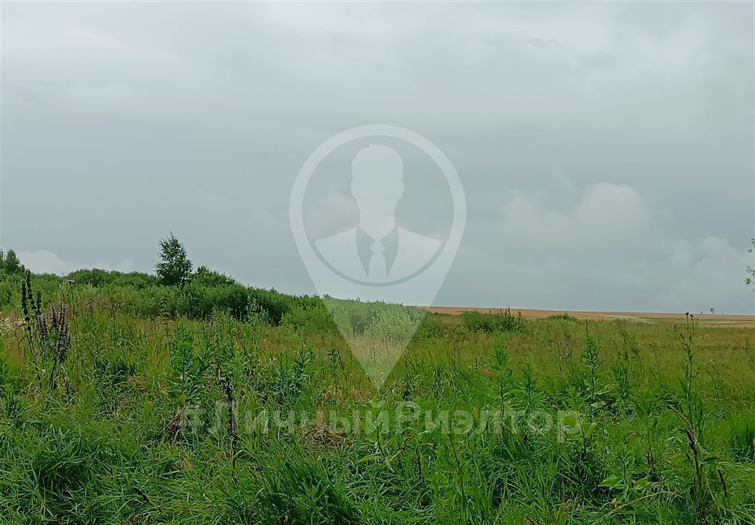 земля р-н Александро-Невский Нижнеякимецкое сельское поселение фото 1
