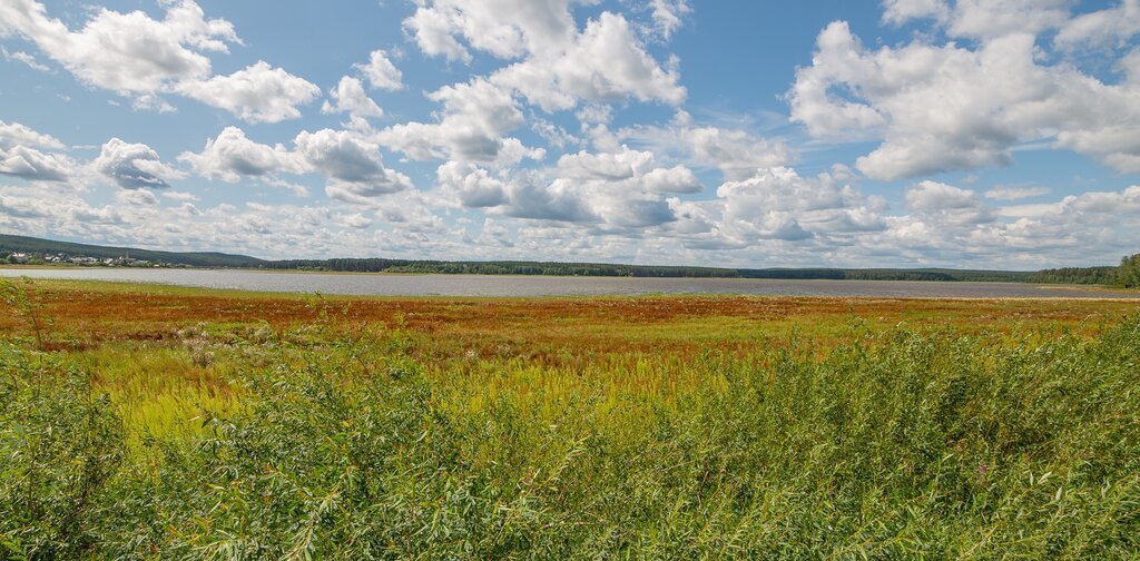 дом г Полевской с Курганово ул Свердлова Чкаловская фото 1