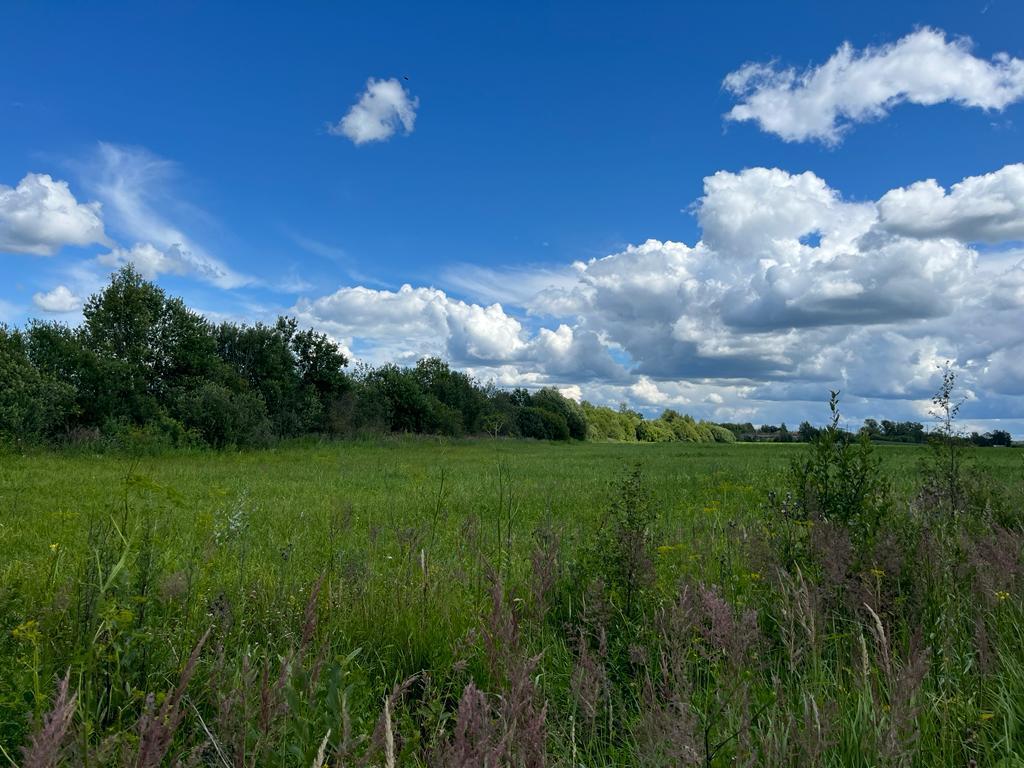 земля городской округ Клин с Спас-Заулок фото 5